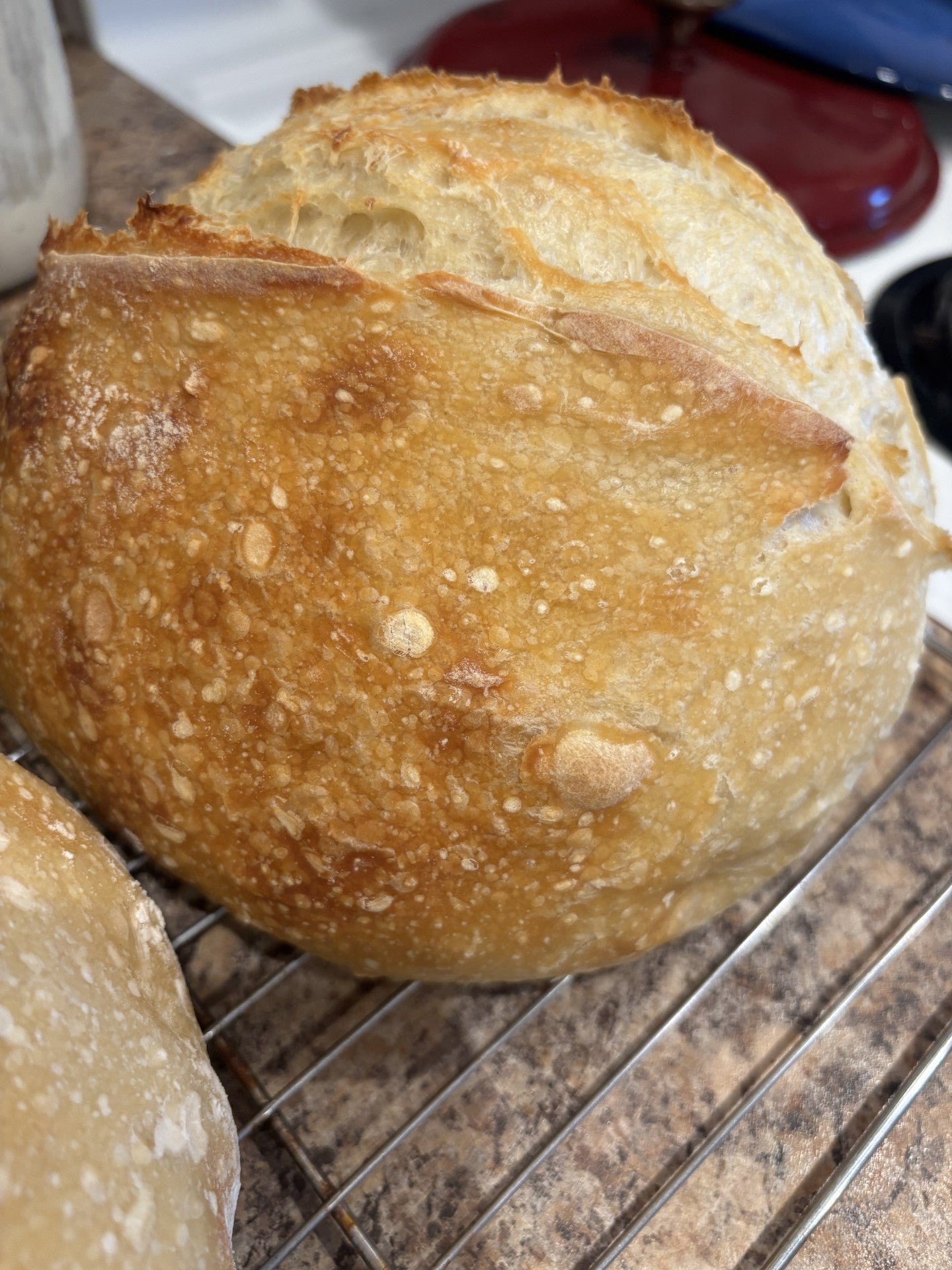 Sourdough Bread